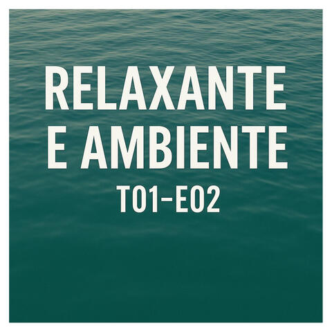 RELAXANTE E AMBIENTE - T01-E02