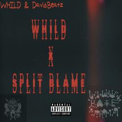 Split Blame