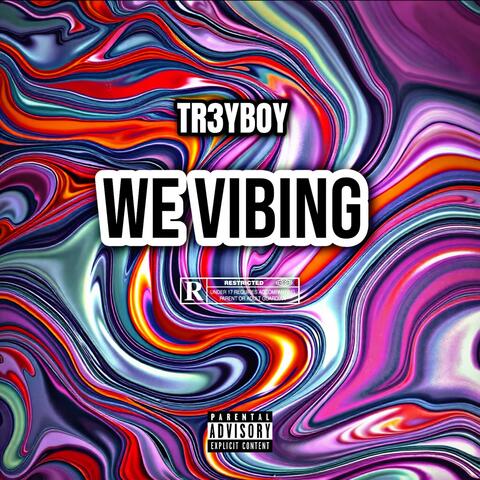We Vibing