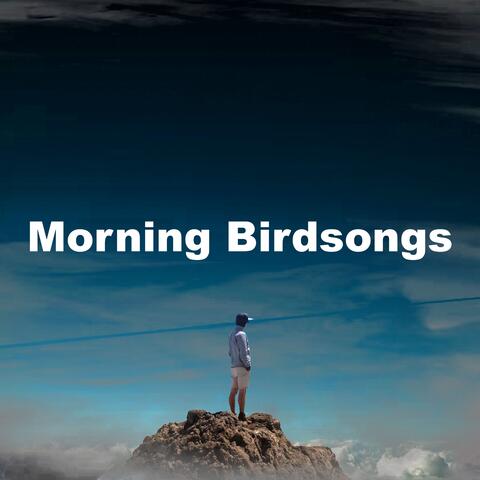 Morning Birdsongs