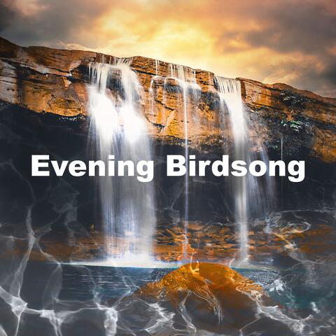 Evening Birdsong