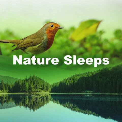Nature Sleeps