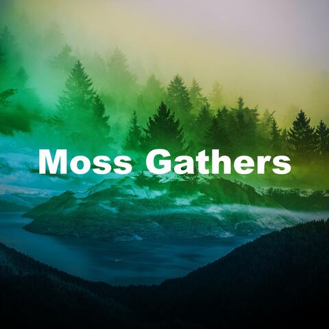 Moss Gathers