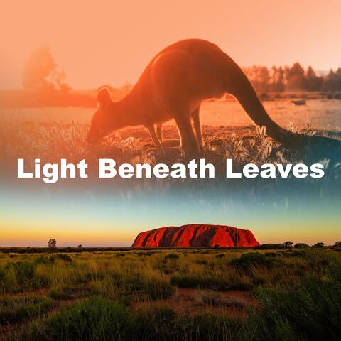 Light Beneath Leaves