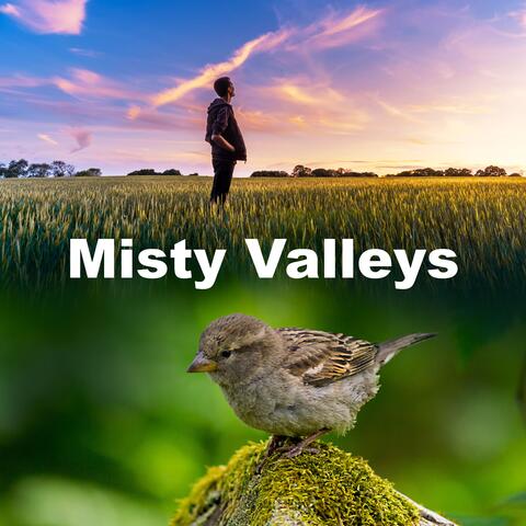 Misty Valleys