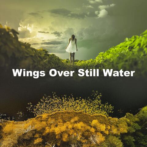Wings Over Still Water