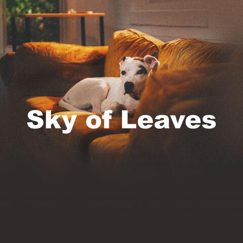 Sky of Leaves