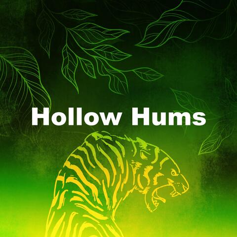 Hollow Hums