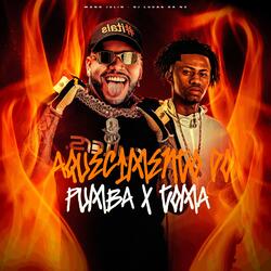 AQUECIMENTO DO PUMBA X TOMA