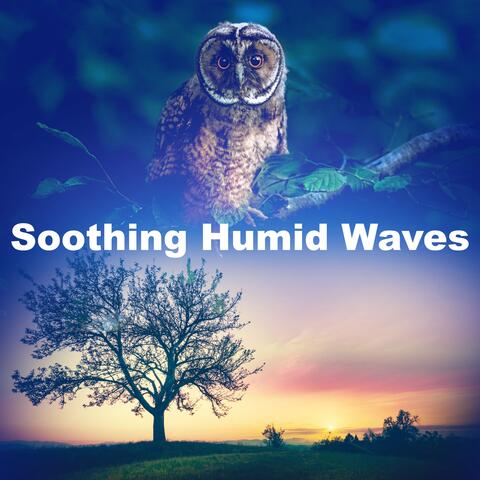 Soothing Humid Waves