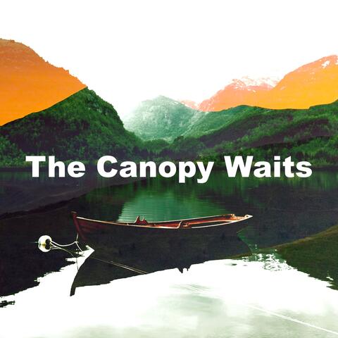 The Canopy Waits