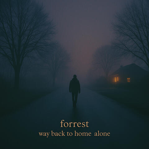 Way back to home alone