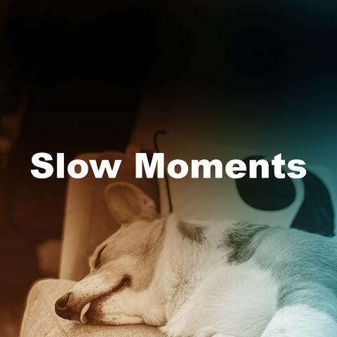 Slow Moments