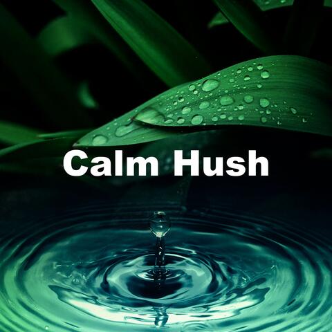Calm Hush