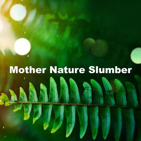 Mother Nature Slumber
