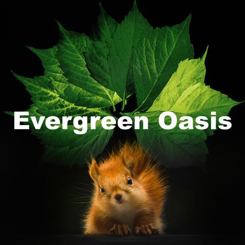 Evergreen Oasis