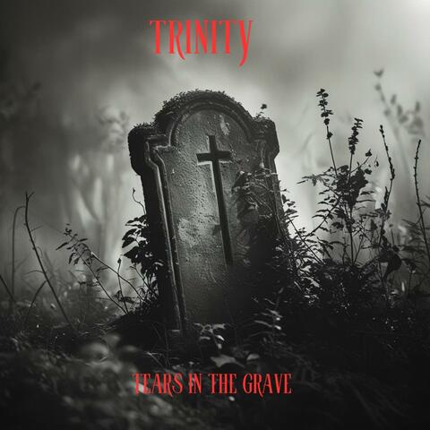 Tears in The Grave