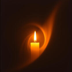 In This Grateful Light