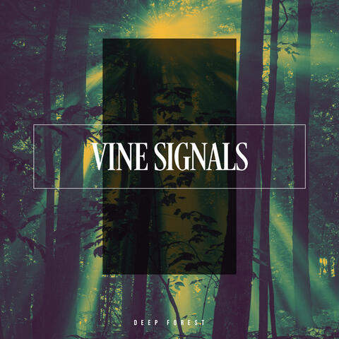 Vine Signals