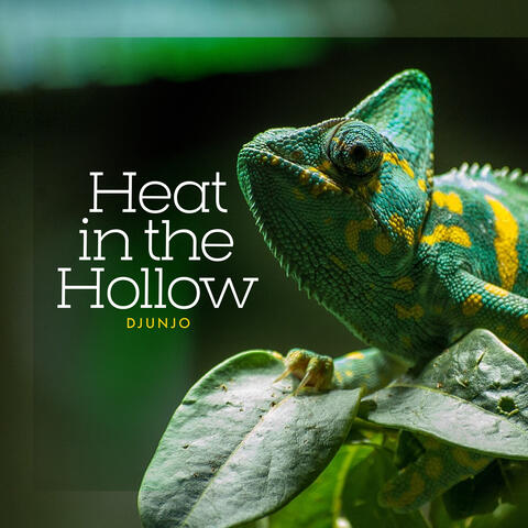 Heat in the Hollow