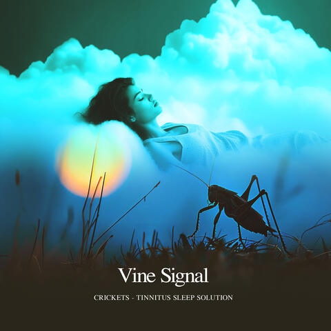 Vine Signal
