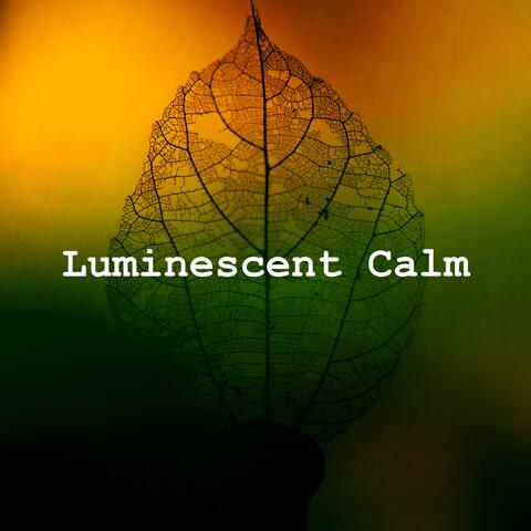 Luminescent Calm
