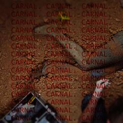 CARNAL.