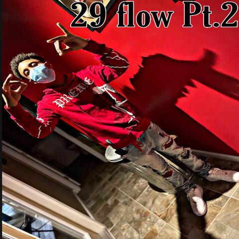 29 Flow pt.2