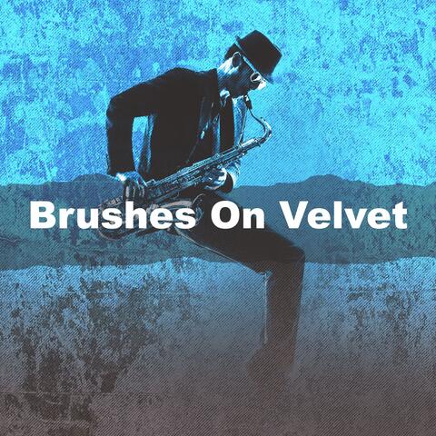Brushes On Velvet