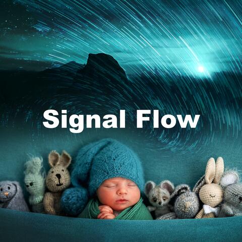 Signal Flow
