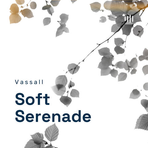 Soft Serenade