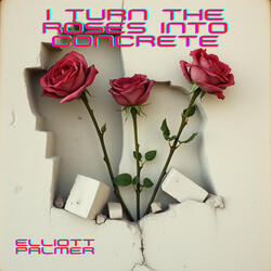 I turned The Roses into Concrete