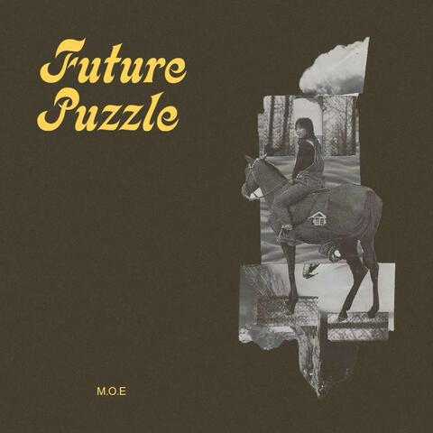 Future Puzzle