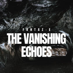 The Vanishing Echoes