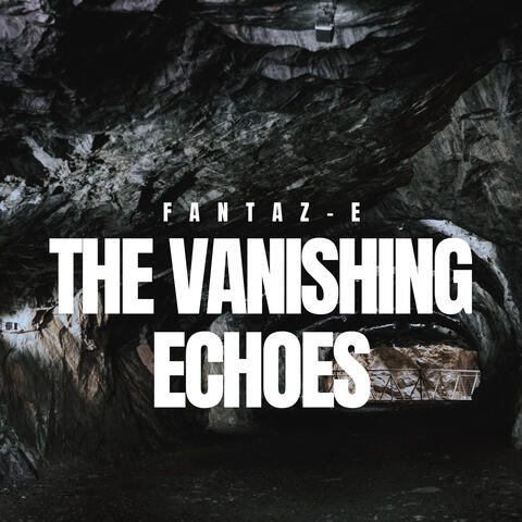 The Vanishing Echoes
