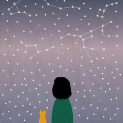 Wonder