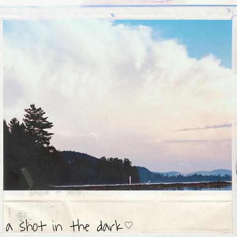 a shot in the dark