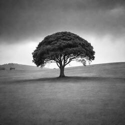 wind blows cold