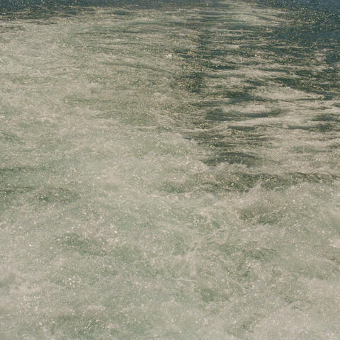 Dreams Along The Shore