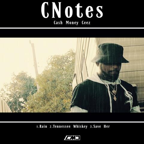 C. Notes