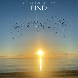 Find