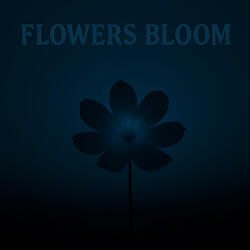 Flowers bloom