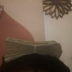 Classist