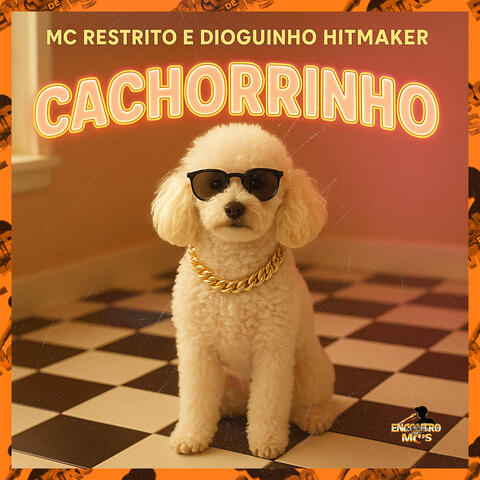Cachorrinho