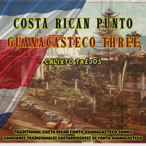 Costa Rican Punto Guanacasteco Three