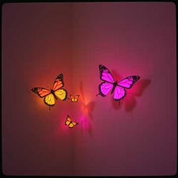 Dancing in the Afterglow