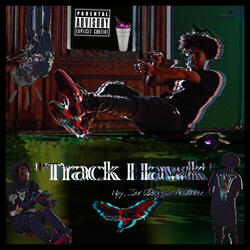 Track Hawk 2