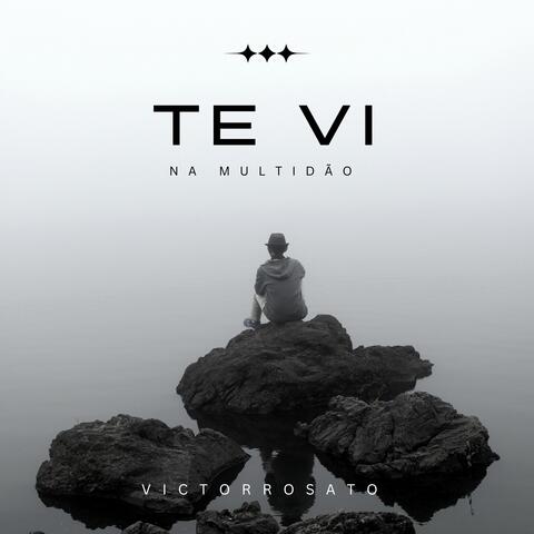 Te Vi Na Multidão