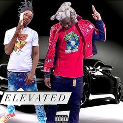 Elevated
