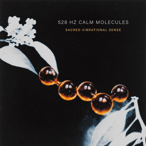 528 Hz Calm Molecules
